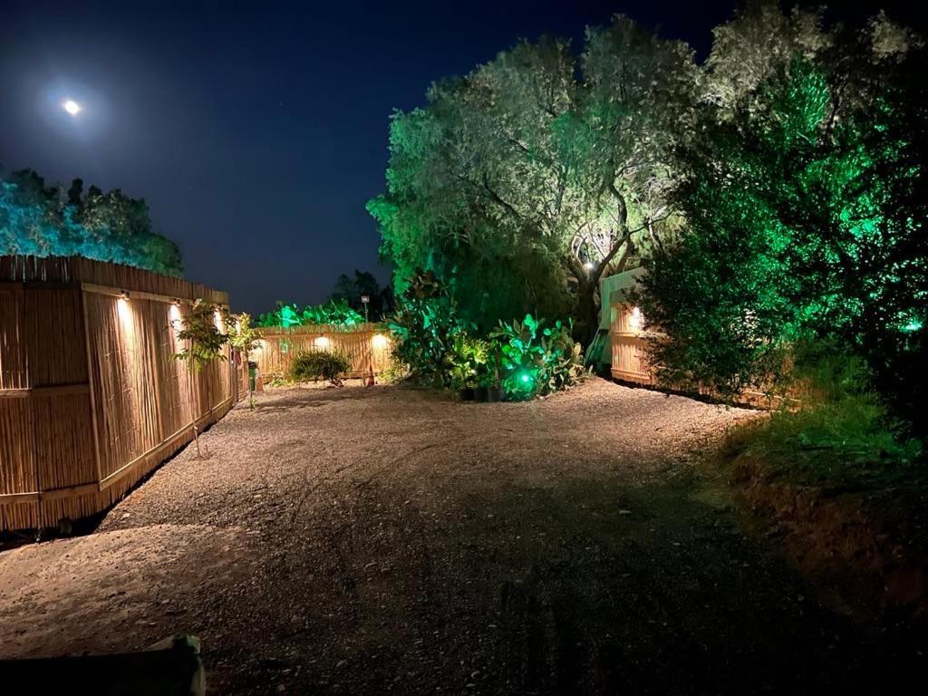 Villa Nikkon Luxury Living Arvi  Exterior foto